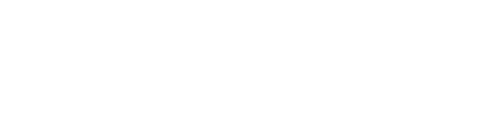 Expertus Logo